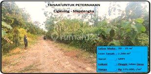 Tanah Untuk Peternakan