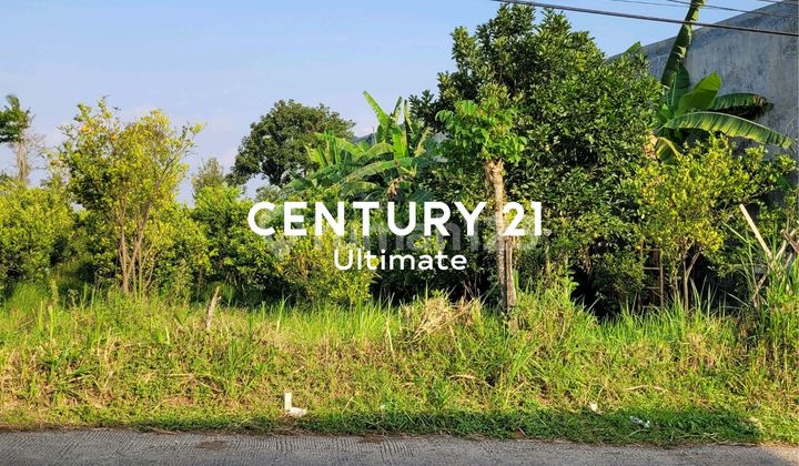 Cheapest Land Near Austinville, Brawijaya University Dieng Malang