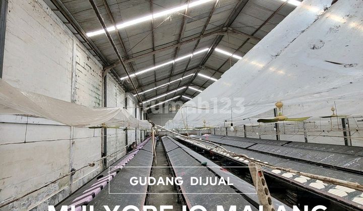 For Sale Super Spacious Warehouse in Mulyorejo Malang For Sale Super Spacious Warehouse in Mulyorejo Malang