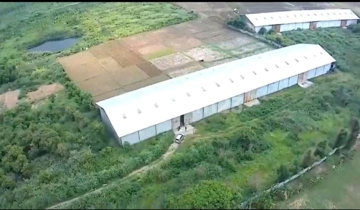 8.4 Hectares of Land in East Karawang – Former Warehouse, Suitable for Housing & Light Industry, Quick Sale! 8.4 Hectares of Land in East Karawang – Former Warehouse, Suitable for Housing & Light Industry, Quick Sale!