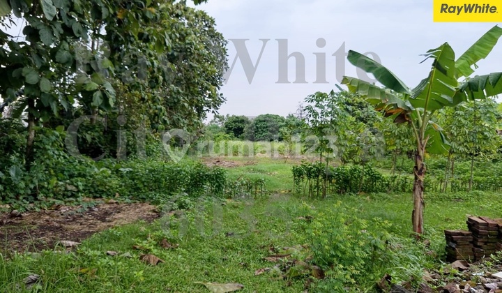 Dijual Murah Kavling seluas 1600m di Jl Raya Peusar Cikupa Tangerang