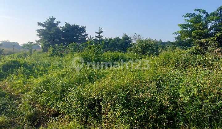 Dijual Kavling Tanah Kosong Murah Berpagar Keliling di Legok - Tangerang