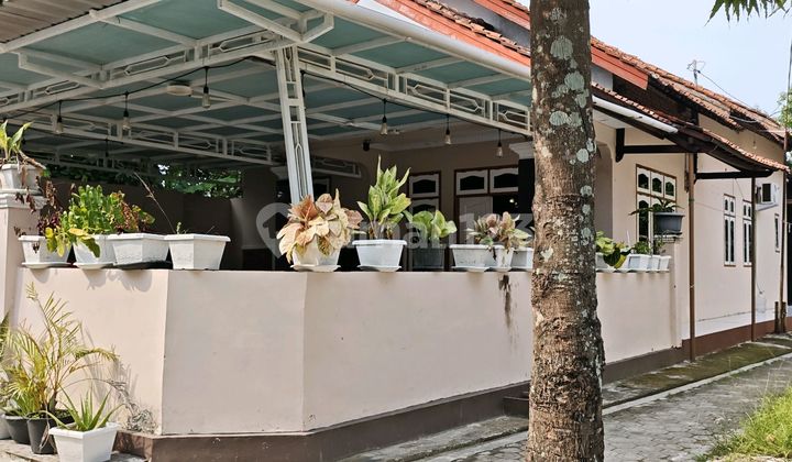 For Sale Cheap Good SHM Jl. Balongan Indramayu For Sale Cheap Good SHM Jl. Balongan Indramayu