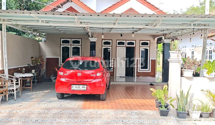 For Sale Cheap Good SHM Jl. Balongan Indramayu For Sale Cheap Good SHM Jl. Balongan Indramayu