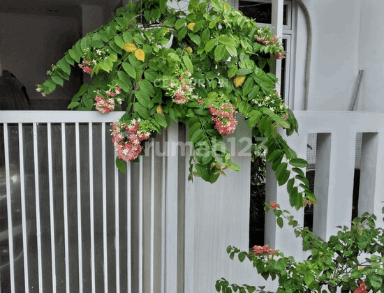 Dijual Cepat Rumah Cantik Fasilitas Lengkap Di Sektor 4 AM16523 2