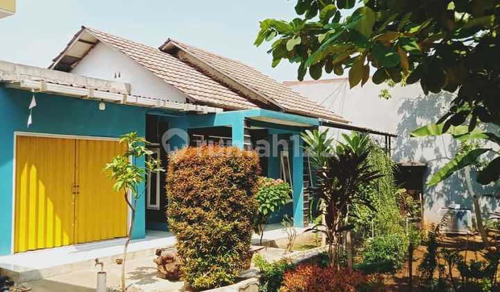 Di Jual Rumah Kampung Halaman Depan Luas Ada Pohon Rambutan Dan Sebagai Nya Halamn Belakng Tersedia Akses Masuk Mobil Jalan Luas.bangunan Baru Di Jual Rumah Kampung Halaman Depan Luas Ada Pohon Rambutan Dan Sebagai Nya Halamn Belakng Tersedia Akses Masuk Mobil Jalan Luas.bangunan Baru