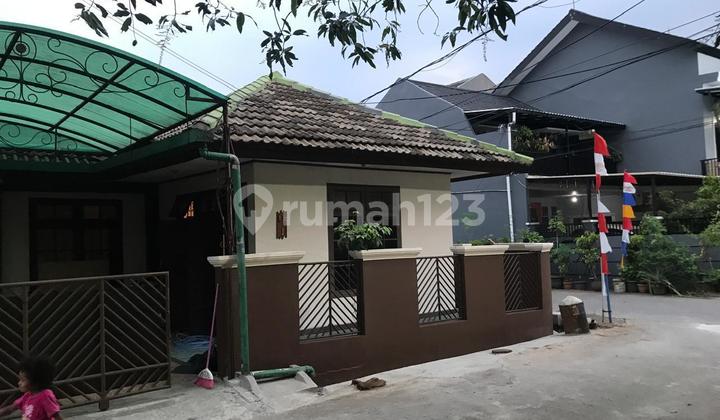 For Sale Cheap Newly Renovated House 2