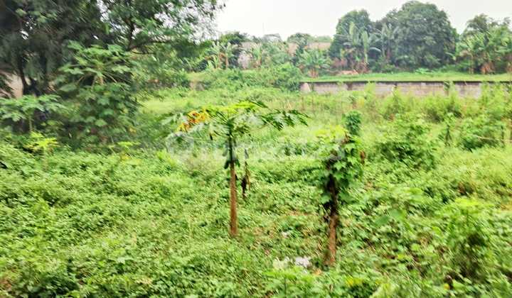 Di Jual Tanah Di Pangkalan 2 Bantar Gebang Di Jual Tanah Di Pangkalan 2 Bantar Gebang