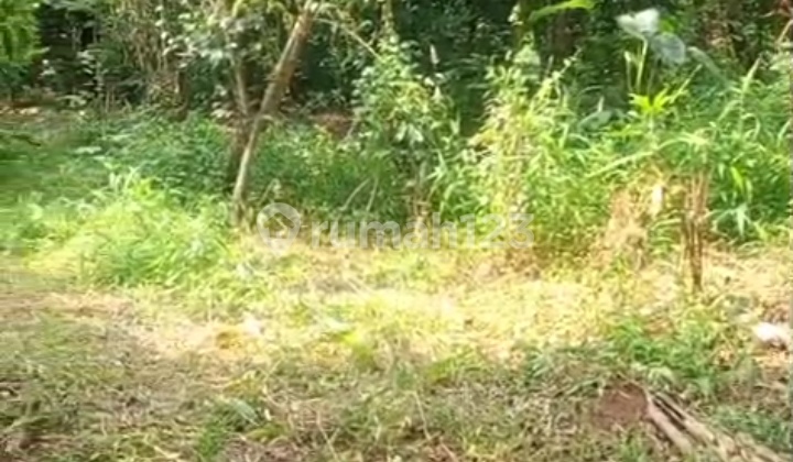 Di Jual Murah Tanah Darat Tanpa.perlu Urugan Lagi Di Jual Murah Tanah Darat Tanpa.perlu Urugan Lagi