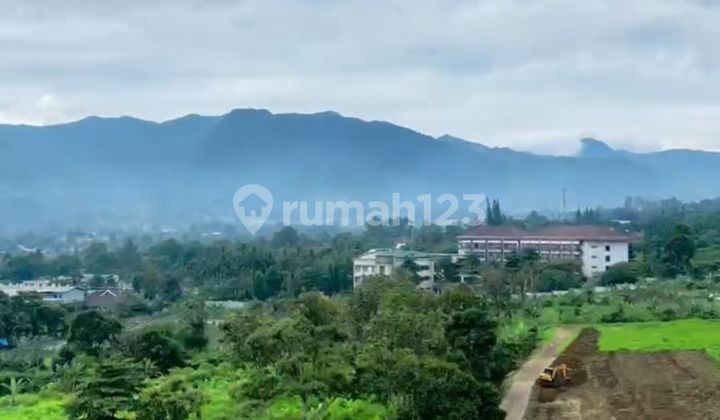 Tanah Shm Dijual Di Puncak Bogor Tanah Shm Dijual Di Puncak Bogor