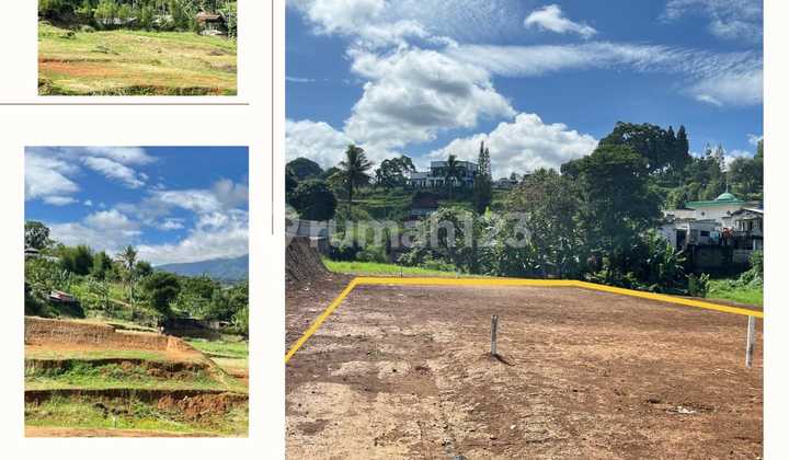 Tanah Puncak Best View Tanah Puncak Best View