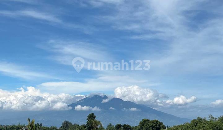 Tanah Strategis Best View Di Jual Di Puncak Bogor Tanah Strategis Best View Di Jual Di Puncak Bogor