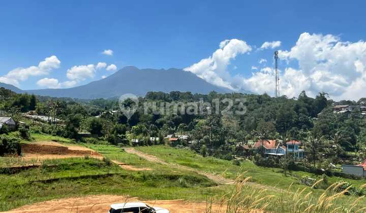 Tanah SHM Best View di Puncak Bogor Tanah SHM Best View di Puncak Bogor