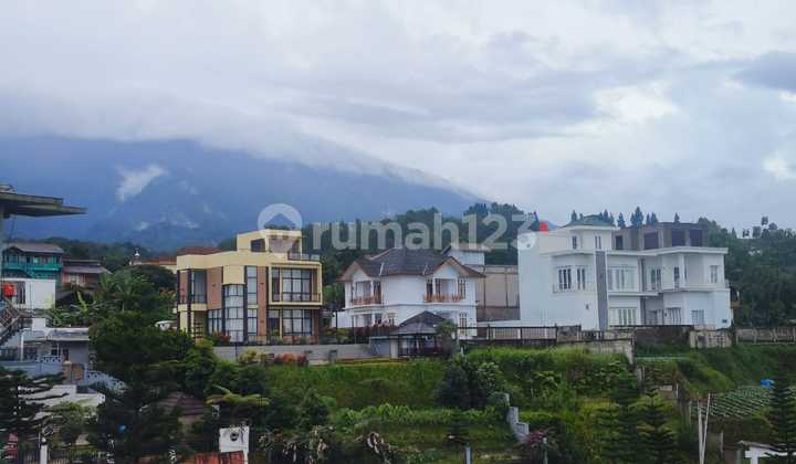 Tanah Murah Puncak Dijual Shm 
