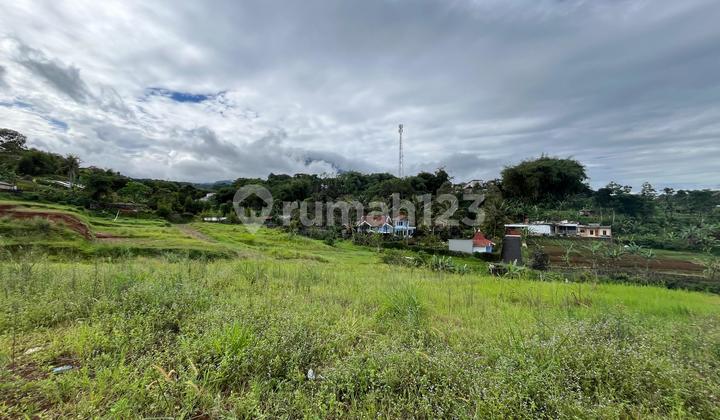 Tanah Strategis Dekat Taman Safari Tanah Strategis Dekat Taman Safari