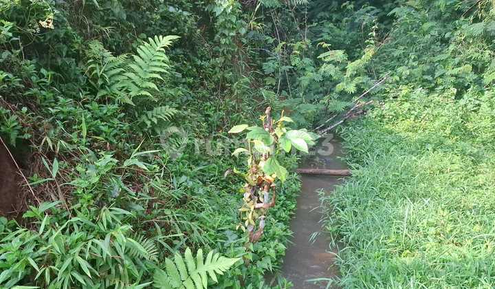 Tanah Puncak Dijual Bonus 1 Bangunan