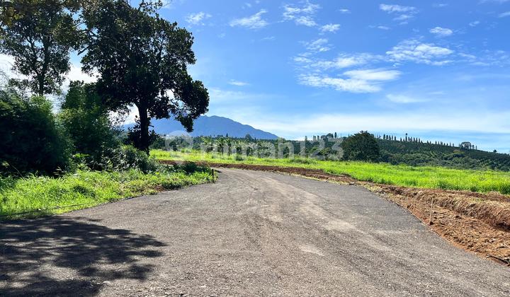 Land Near Puncak Main Road Best View