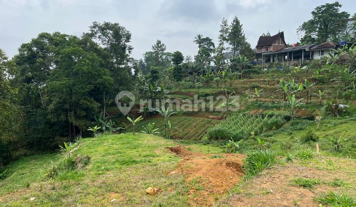 Tanah Shm Dijual Murah Di Puncak Bogor