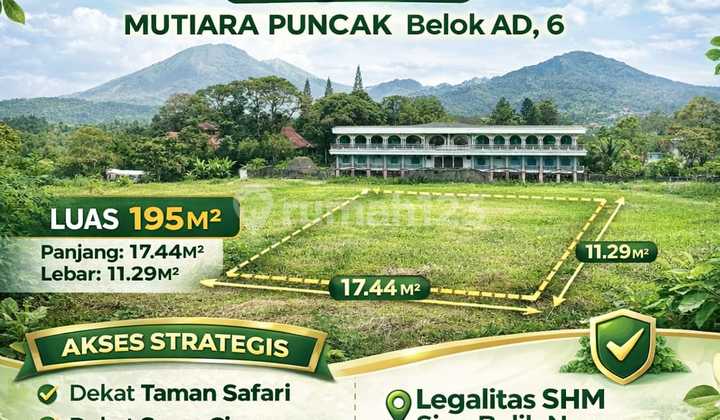 Tanah Dekat Jalan Raya Puncak Best View Tanah Dekat Jalan Raya Puncak Best View