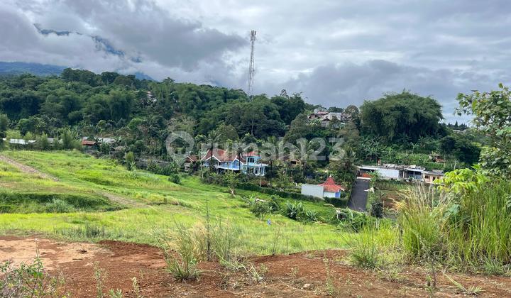 Freehold Land For Sale In Puncak Bogor Freehold Land For Sale In Puncak Bogor