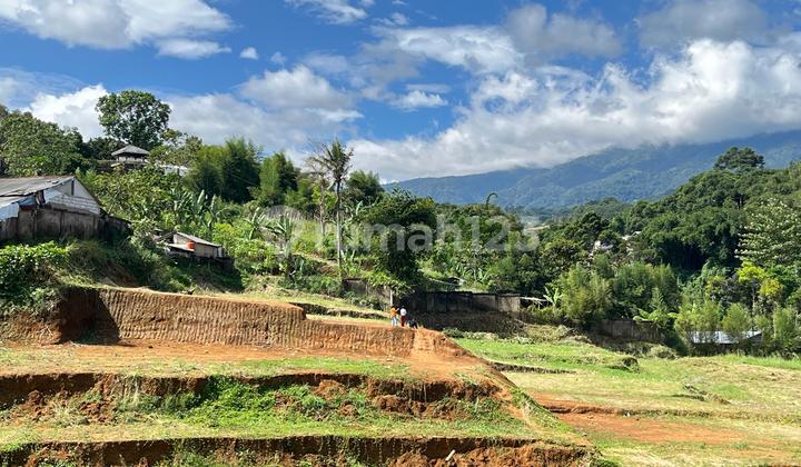 Tanah Puncak SHM Best View