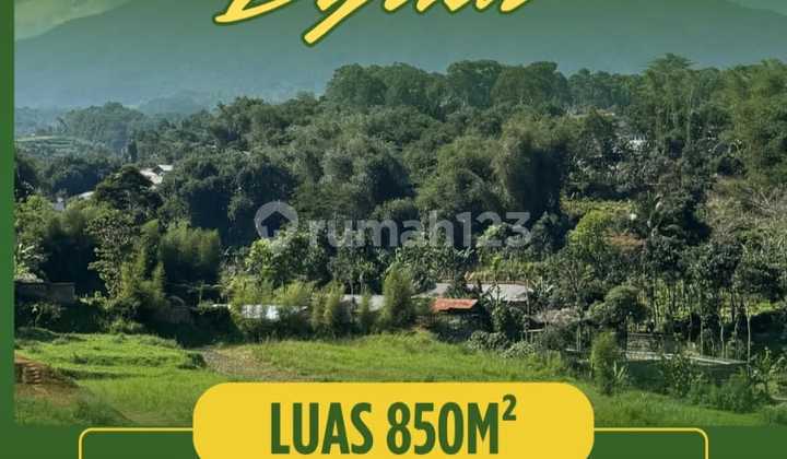 Tanah SHM Best View Dekat Taman Safari Tanah SHM Best View Dekat Taman Safari