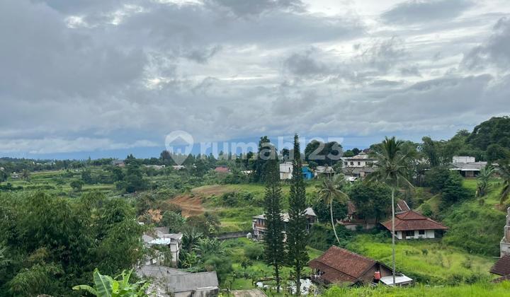 Tanah Shm Strategis Dijual Di Puncak Bogor