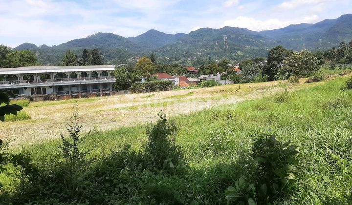 Tanah Strategis Dekat Jalan Raya Puncak Di Jual Di Puncak Bogor Tanah Strategis Dekat Jalan Raya Puncak Di Jual Di Puncak Bogor