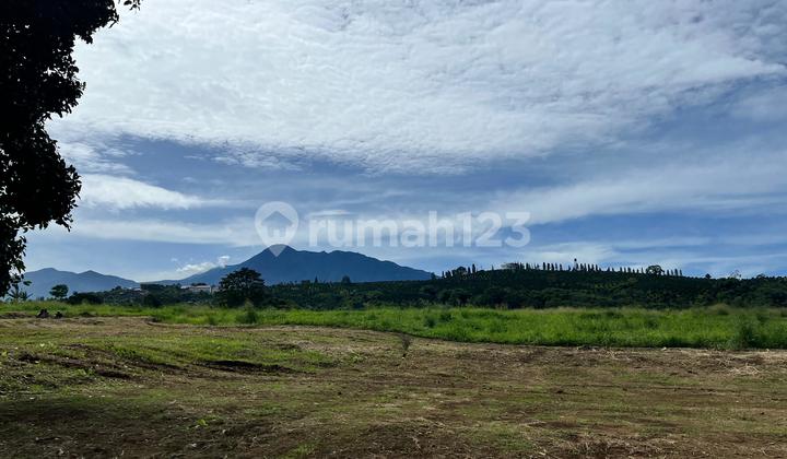 Strategic Land with the Best View For Sale in Puncak Bogor