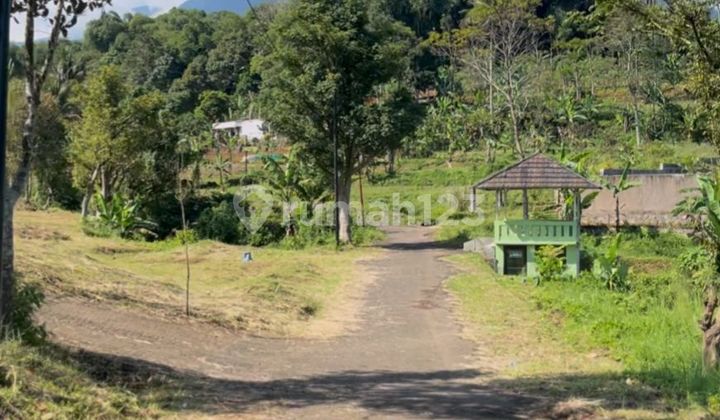 Tanah Potensial Best View Di Puncak Bogor