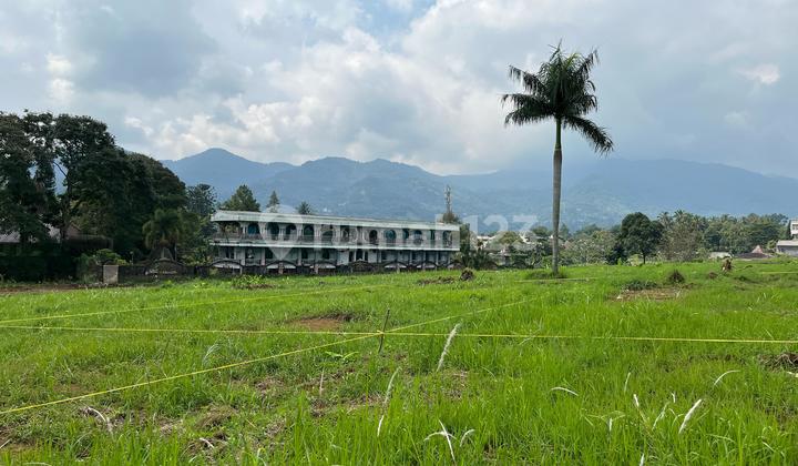 Land Near Gadog Toll Exit Land Near Gadog Toll Exit