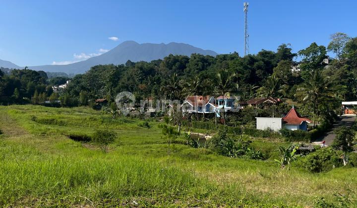 Tanah Shm Siap Bangun Di Jual Di Puncak Bogor Dekat Taman Safari Tanah Shm Siap Bangun Di Jual Di Puncak Bogor Dekat Taman Safari