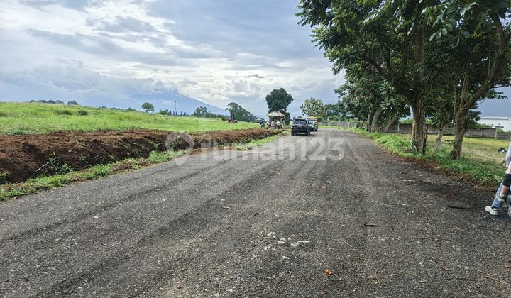Tanah Dekat Jalan Raya Puncak Best View Potensial