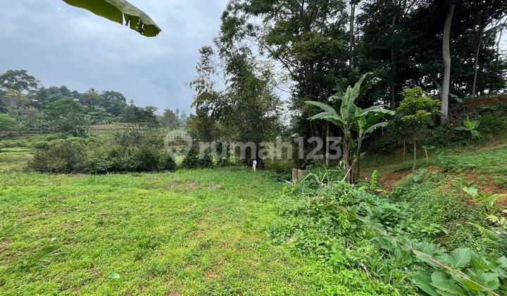 Tanah Shm Dijual Di Puncak Bogor