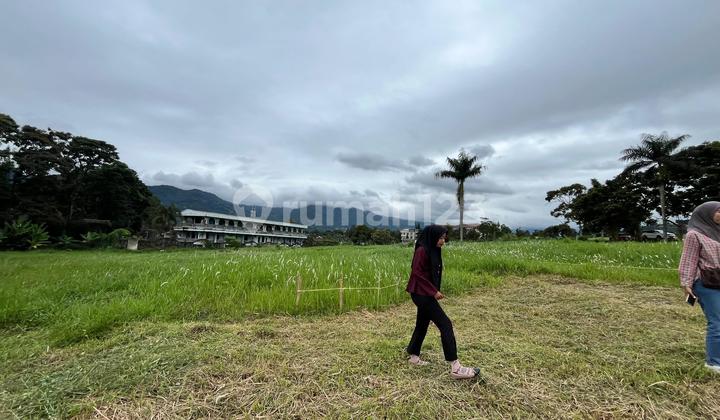 Tanah Dekat Jalan Raya Puncak Best View Tanah Dekat Jalan Raya Puncak Best View