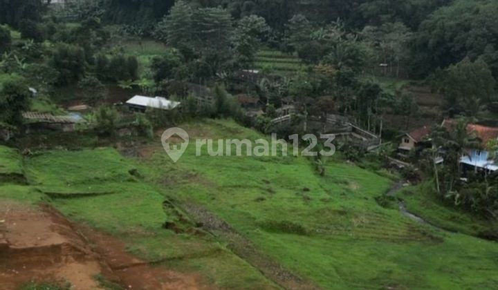 Tanah Dijual Shm Di Puncak Bogor Tanah Dijual Shm Di Puncak Bogor