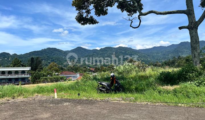Tanah Strategis Di Jual Di Puncak Bogor Tanah Strategis Di Jual Di Puncak Bogor