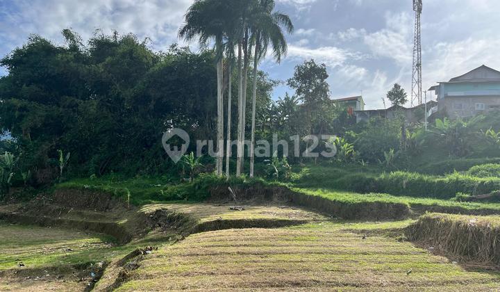 Tanah Puncak Best View Pitensial