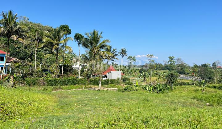 Tanah Shm Best View Di Jual Di Puncak Bogor