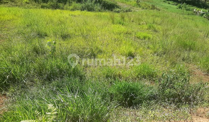 Tanah Strategis Best View di Puncak Bogor