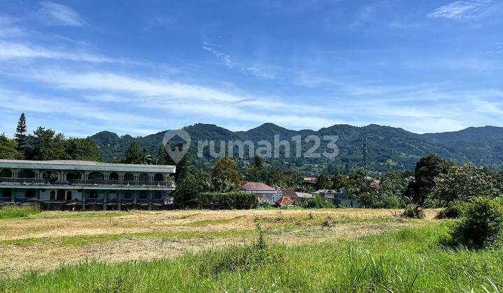 Tanah Strategis Best View Di Puncak Bogor Tanah Strategis Best View Di Puncak Bogor