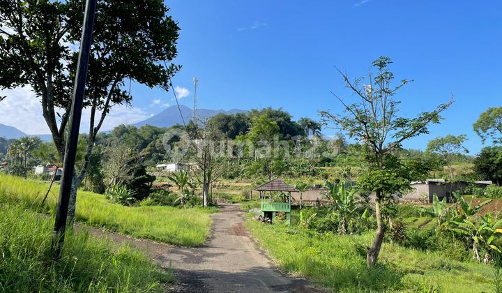 Tanah Shm Dekat Taman Wisata Dijual Murah