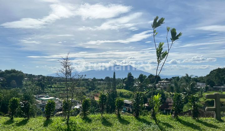 Tanah Strategis Best View di Puncak Bogor Tanah Strategis Best View di Puncak Bogor