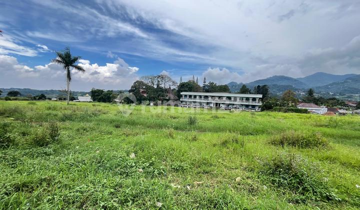 Tanah Potensial Dekat Taman Safari