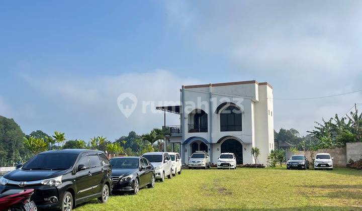 Tanah Potensial Di Puncak Bogor Tanah Potensial Di Puncak Bogor