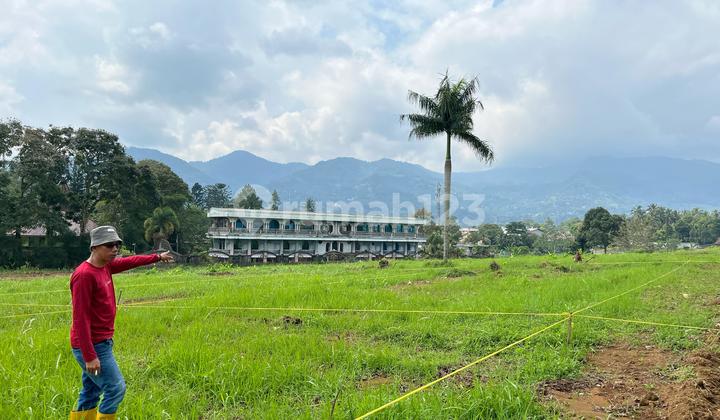 Land Near Puncak Main Road Best View Land Near Puncak Main Road Best View