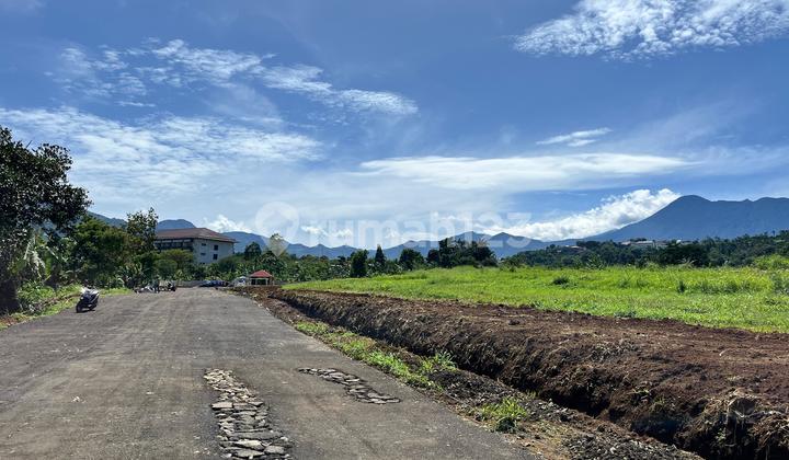 Tanah Dekat Jalan Raya Puncak Akses Mudah View Keren Di Jual Di Puncak Bogor Tanah Dekat Jalan Raya Puncak Akses Mudah View Keren Di Jual Di Puncak Bogor