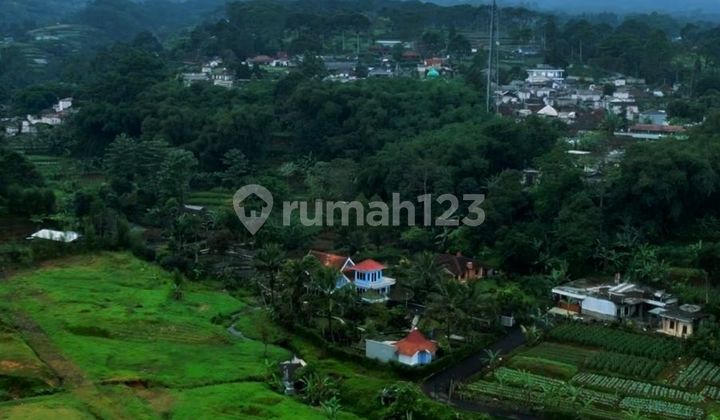 Tanah Shm Di Jual Di Puncak Bogor