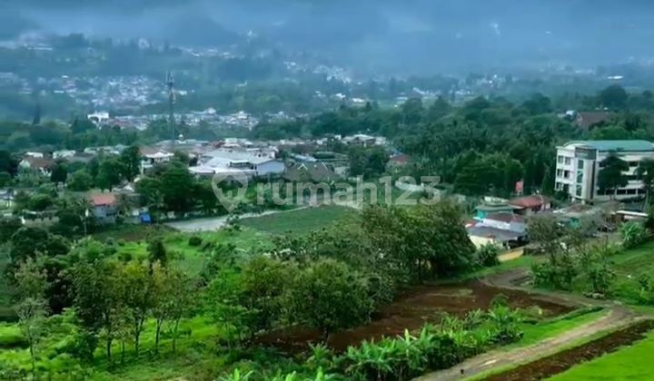Land with Certificate for Sale in Puncak, Bogor. Land with Certificate for Sale in Puncak, Bogor.