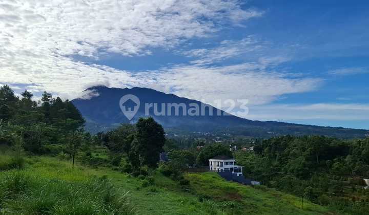 Land for Sale Best View SHM in Puncak Bogor Land for Sale Best View SHM in Puncak Bogor